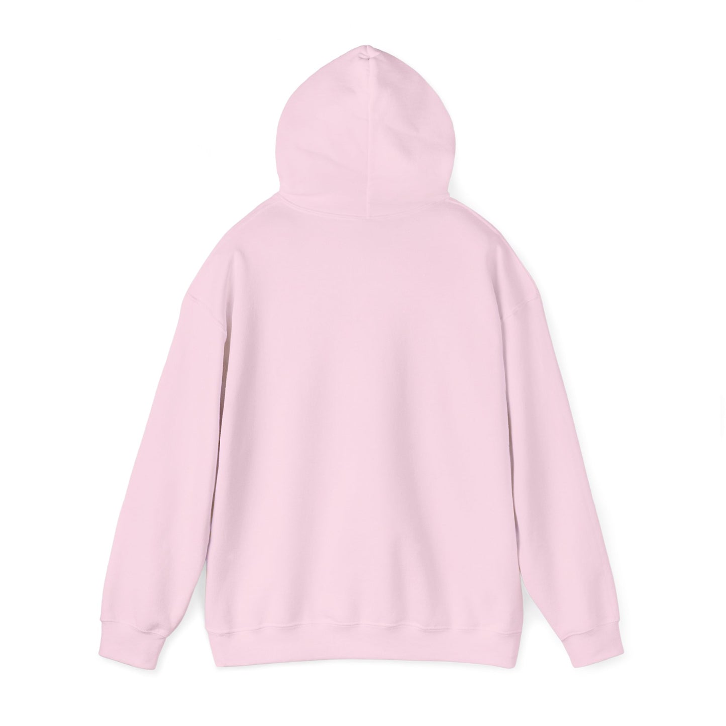 Hot Girls Take Insulin - Light Pink Embroidered Hooded Sweatshirt